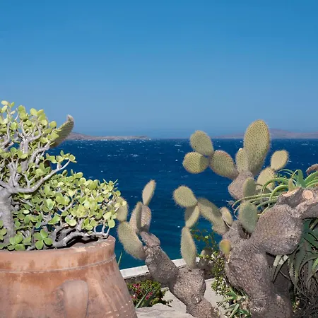 Kymothoe Mykonos * Agios Ioannis Diakoftis